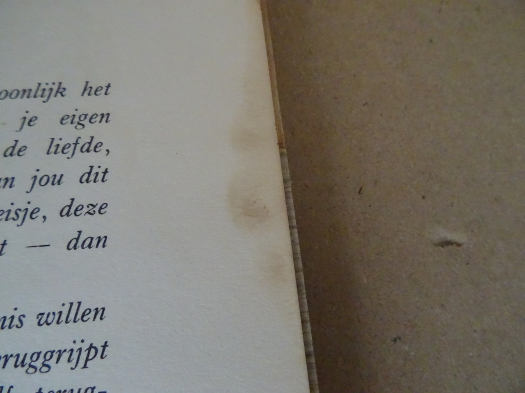 R. Bastin O.M.I. Het Oude Verbond - Afbeelding 18