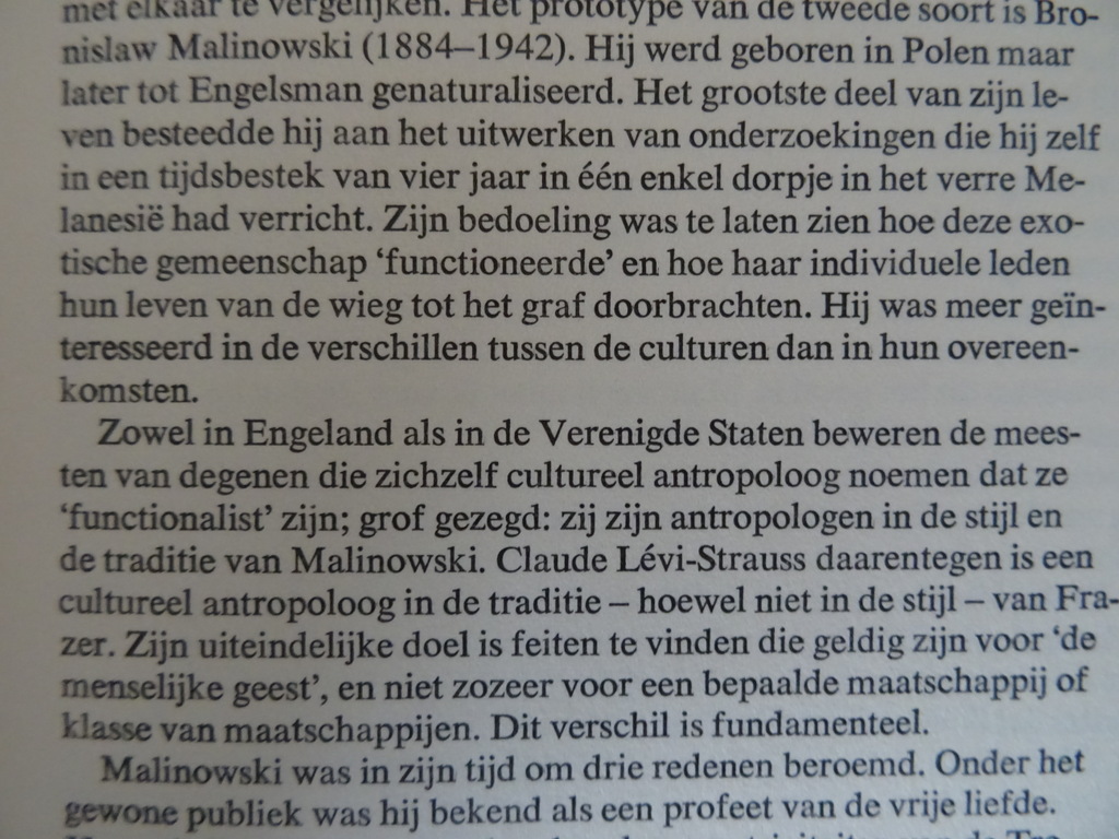 Edmund Leach Claude Levi Strauss - Afbeelding 10