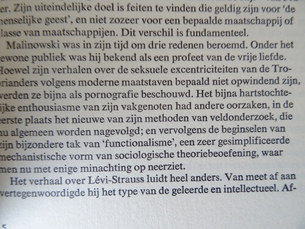 Edmund Leach Claude Levi Strauss - Afbeelding 11