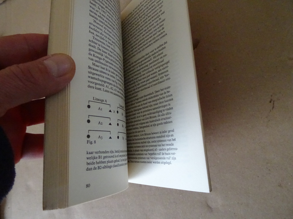 Edmund Leach Claude Levi Strauss - Afbeelding 12