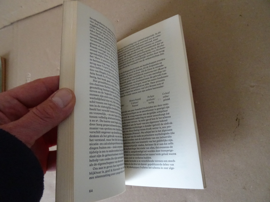 Edmund Leach Claude Levi Strauss - Afbeelding 13