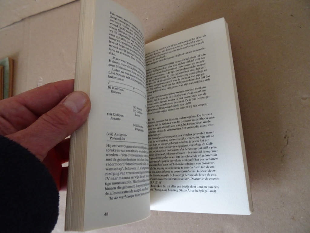 Edmund Leach Claude Levi Strauss - Afbeelding 14
