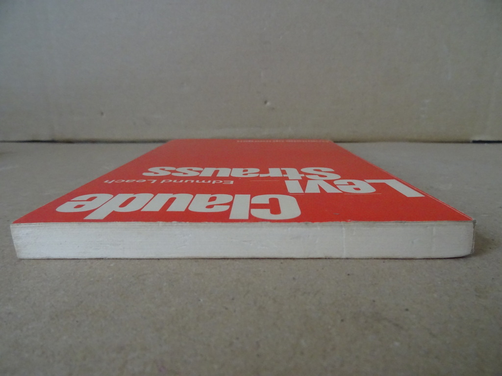 Edmund Leach Claude Levi Strauss - Afbeelding 23