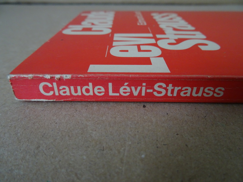 Edmund Leach Claude Levi Strauss - Afbeelding 25