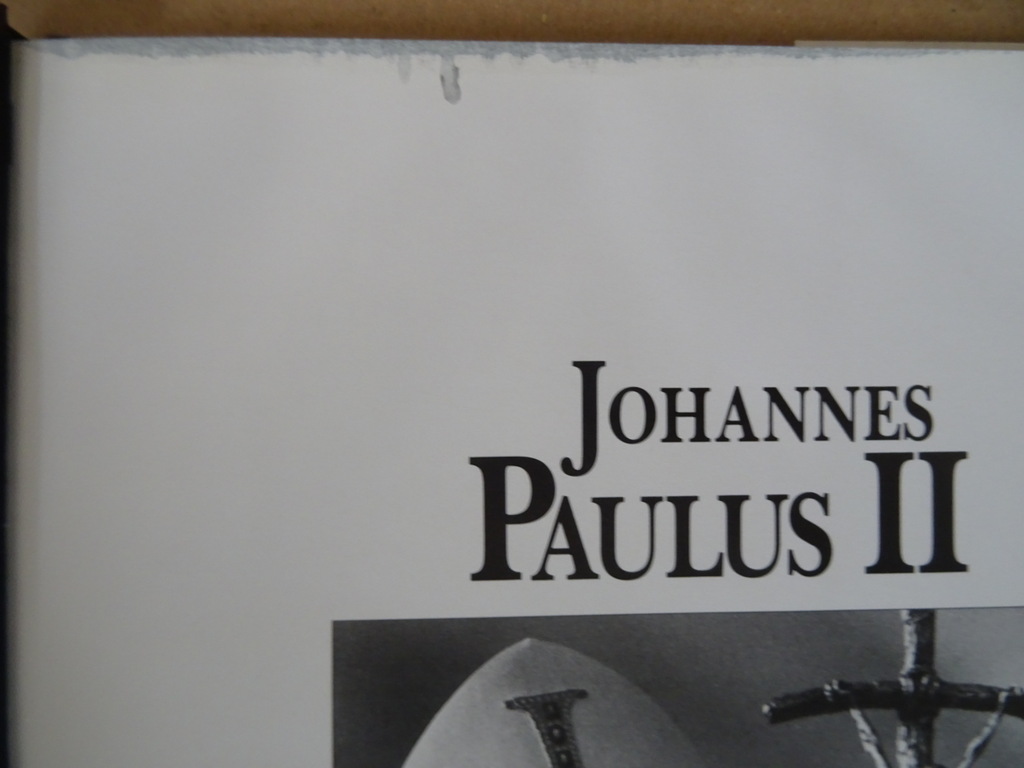Patrick Edwards Johannes Paulus II Beeld van een Paus - Afbeelding 10
