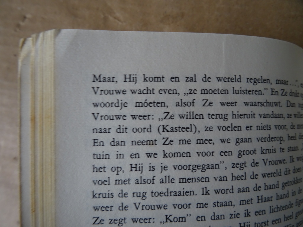 De boodschappen van de Vrouwe van alle Volkeren - Afbeelding 39