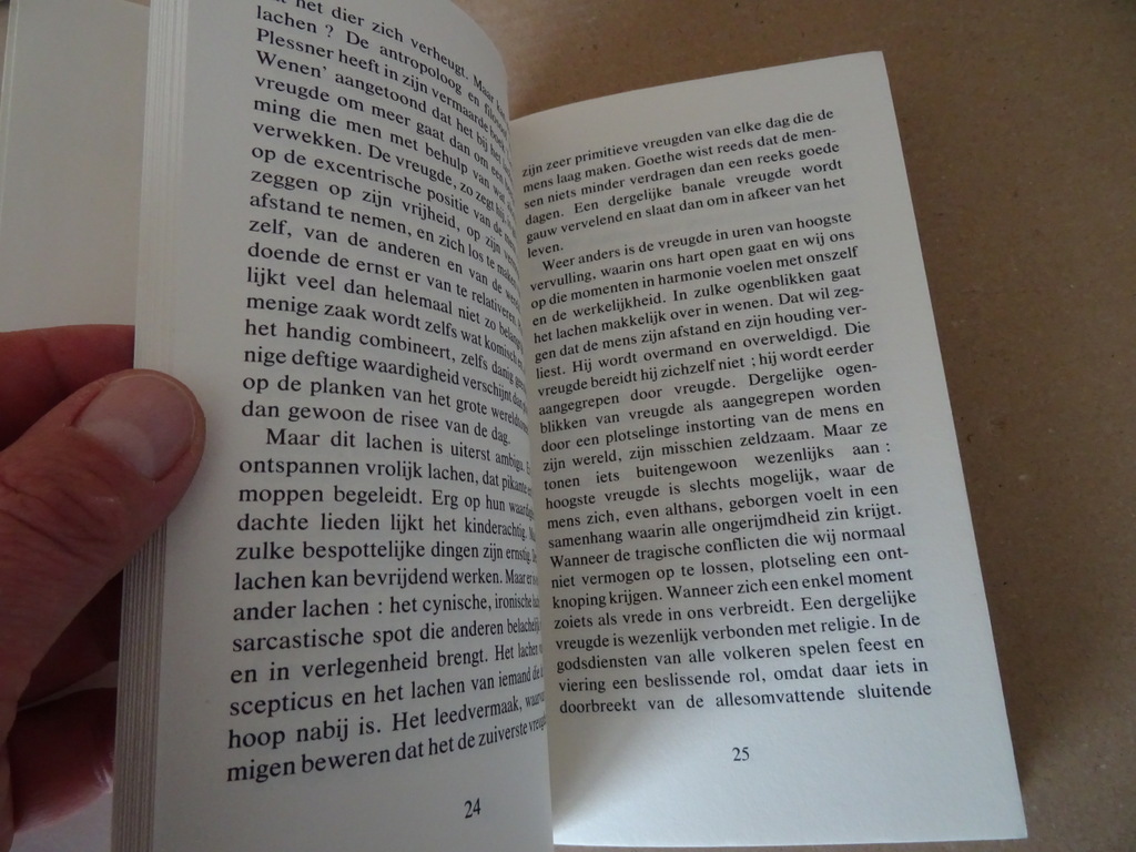 Walter Kasper Ik zal er zijn voor jou - Afbeelding 11