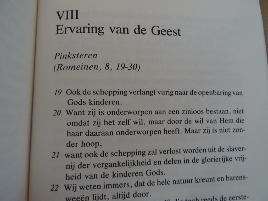 Walter Kasper Ik zal er zijn voor jou - Afbeelding 13
