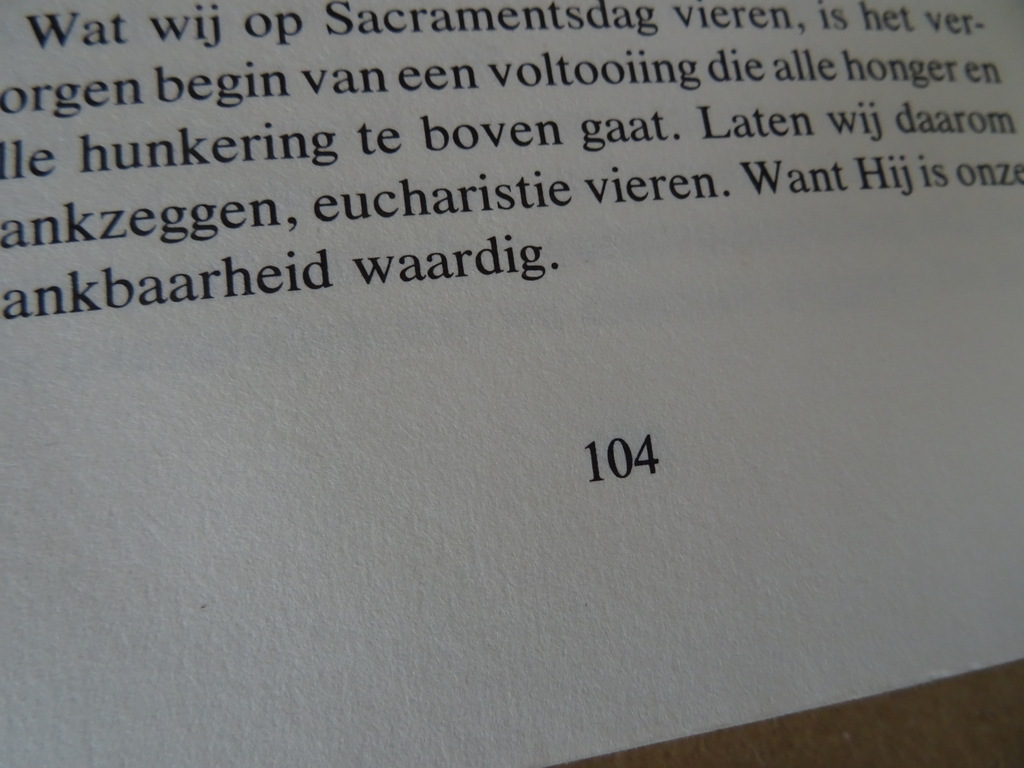 Walter Kasper Ik zal er zijn voor jou - Afbeelding 14