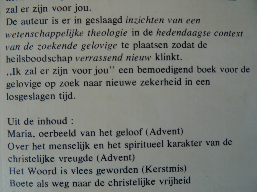 Walter Kasper Ik zal er zijn voor jou - Afbeelding 17