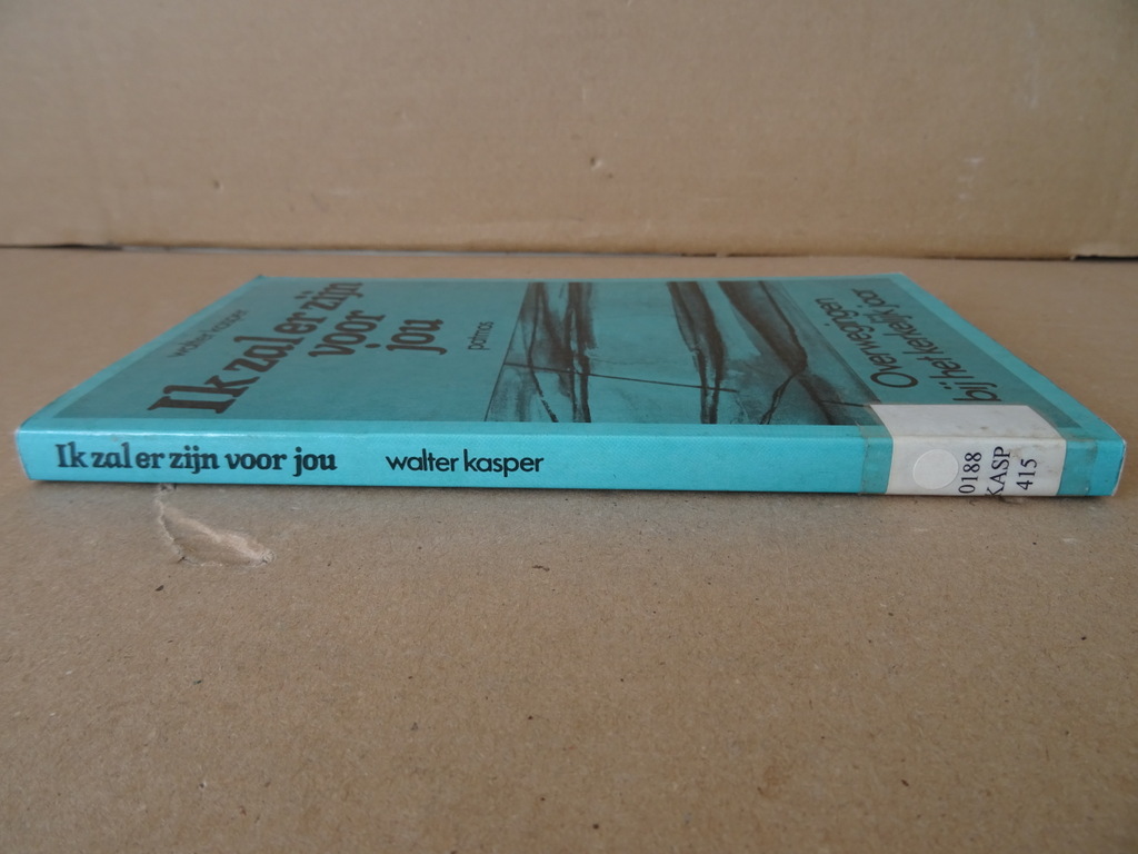 Walter Kasper Ik zal er zijn voor jou - Afbeelding 25