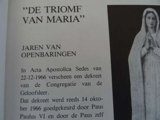 Het Huis van het Rijk Gods De triomf van Maria