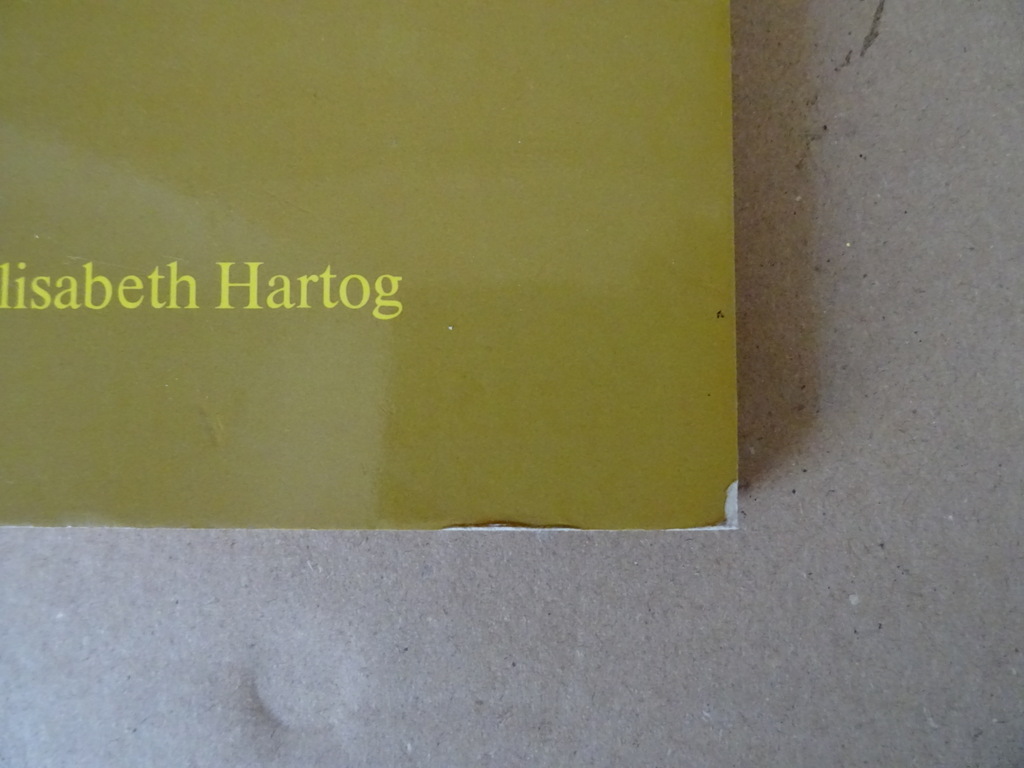 Elisabeth Hartog Het zingende zand - Afbeelding 3