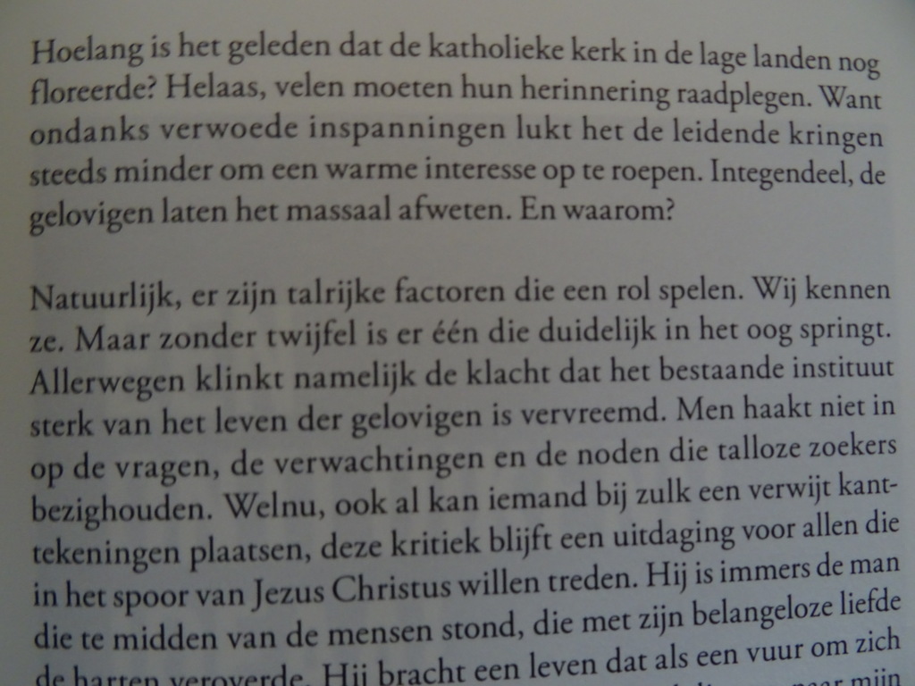 Leo Meulenberg Gestalten uit de oude kerk - Afbeelding 9