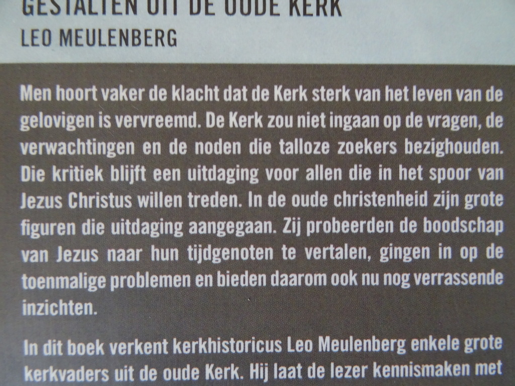 Leo Meulenberg Gestalten uit de oude kerk - Afbeelding 18