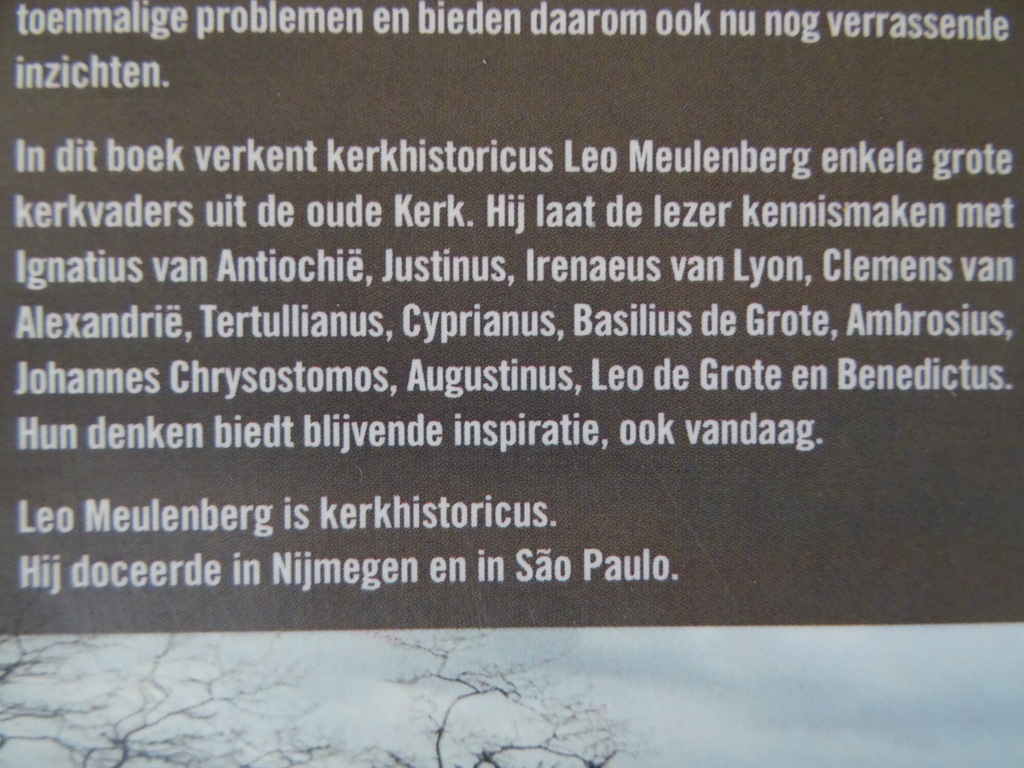 Leo Meulenberg Gestalten uit de oude kerk - Afbeelding 19