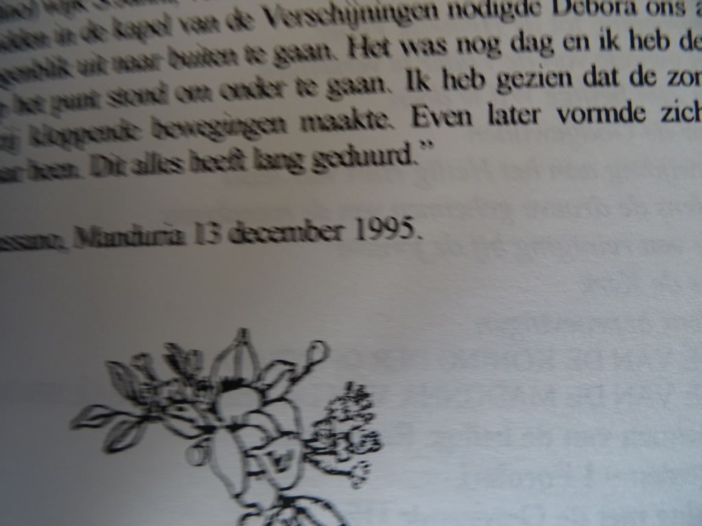 De geopenbaarde wijsheid van de Levende God I - Afbeelding 17