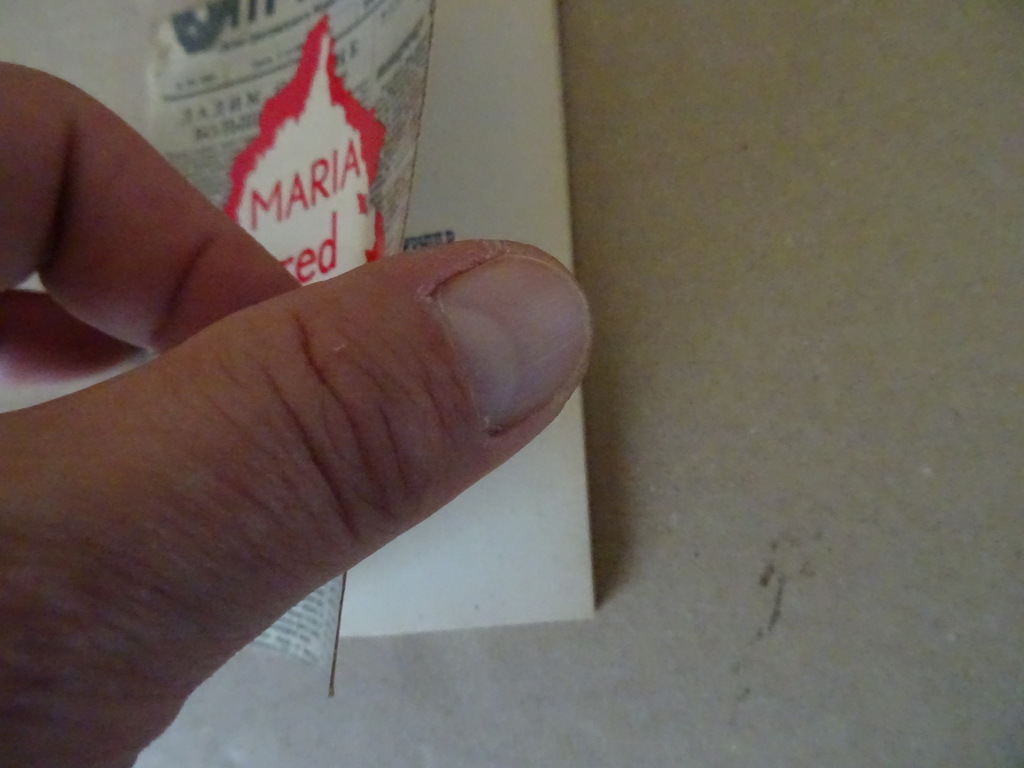 Maria red ons Gebeden van vier Litause meisjes in gevangenschap - Afbeelding 3
