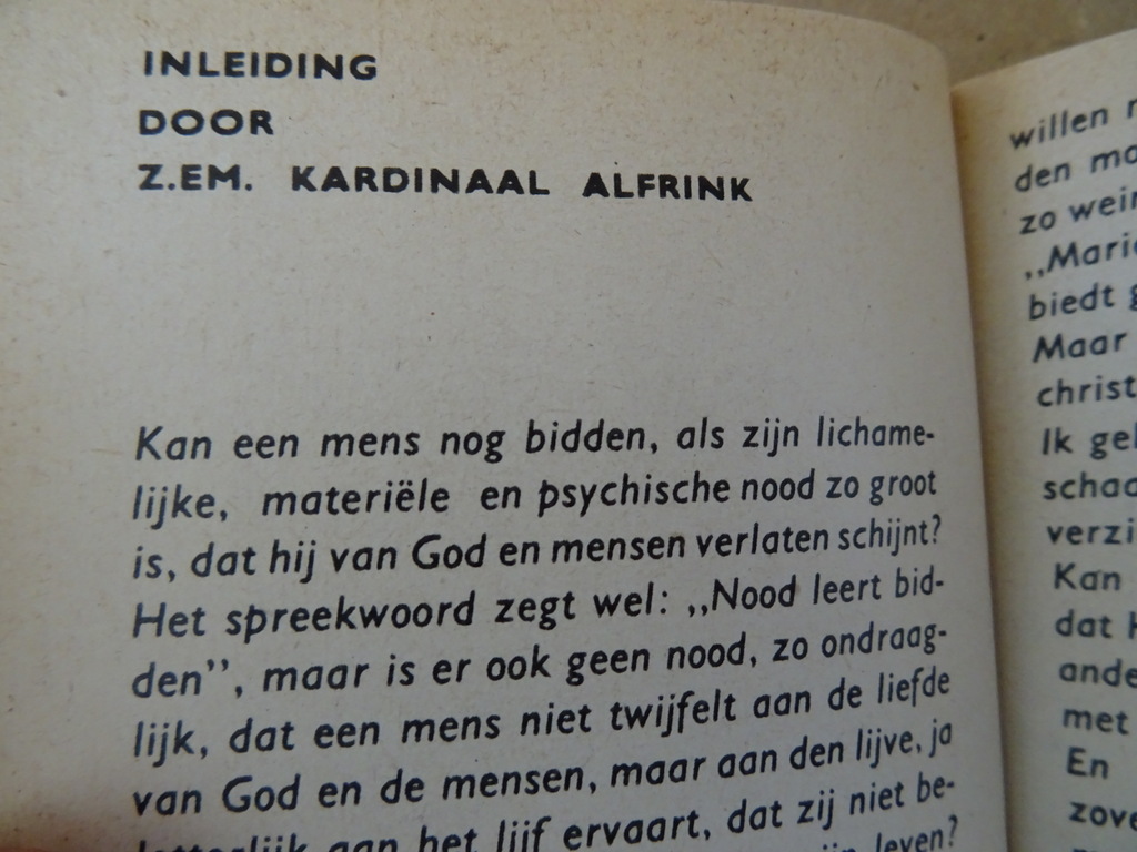 Maria red ons Gebeden van vier Litause meisjes in gevangenschap - Afbeelding 12