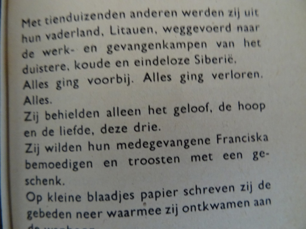 Maria red ons Gebeden van vier Litause meisjes in gevangenschap - Afbeelding 15