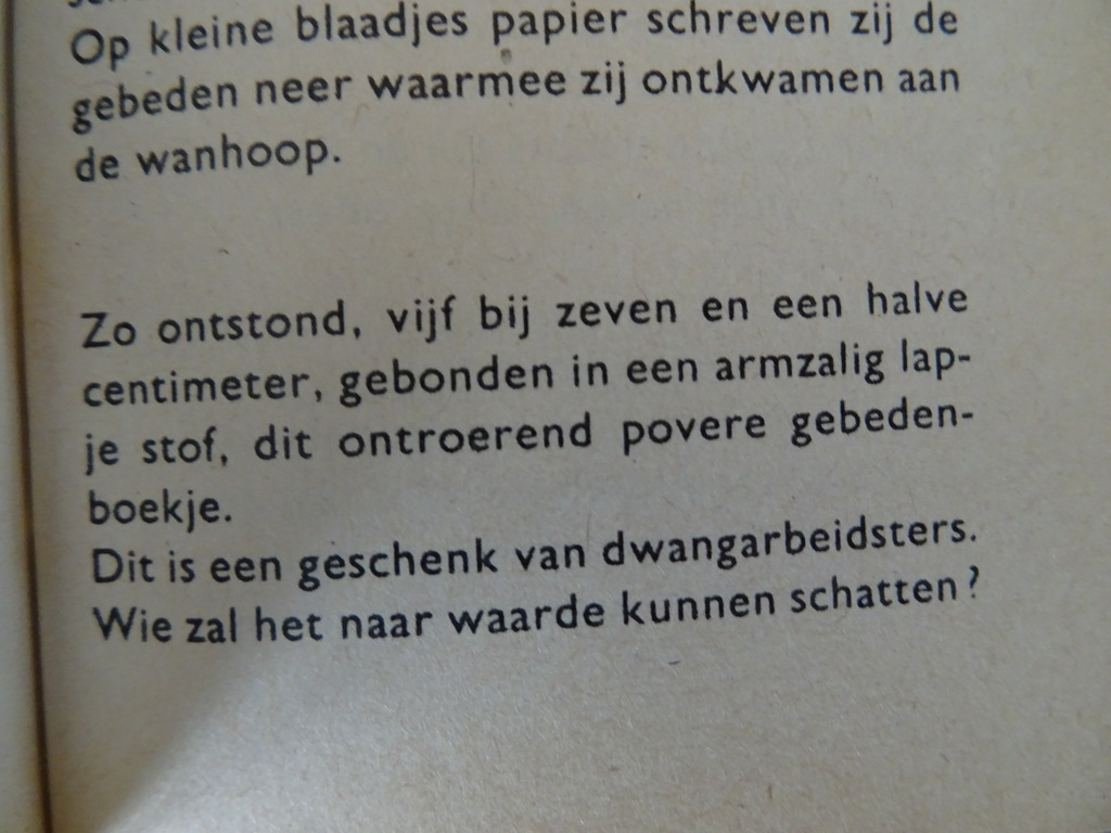 Maria red ons Gebeden van vier Litause meisjes in gevangenschap - Afbeelding 16