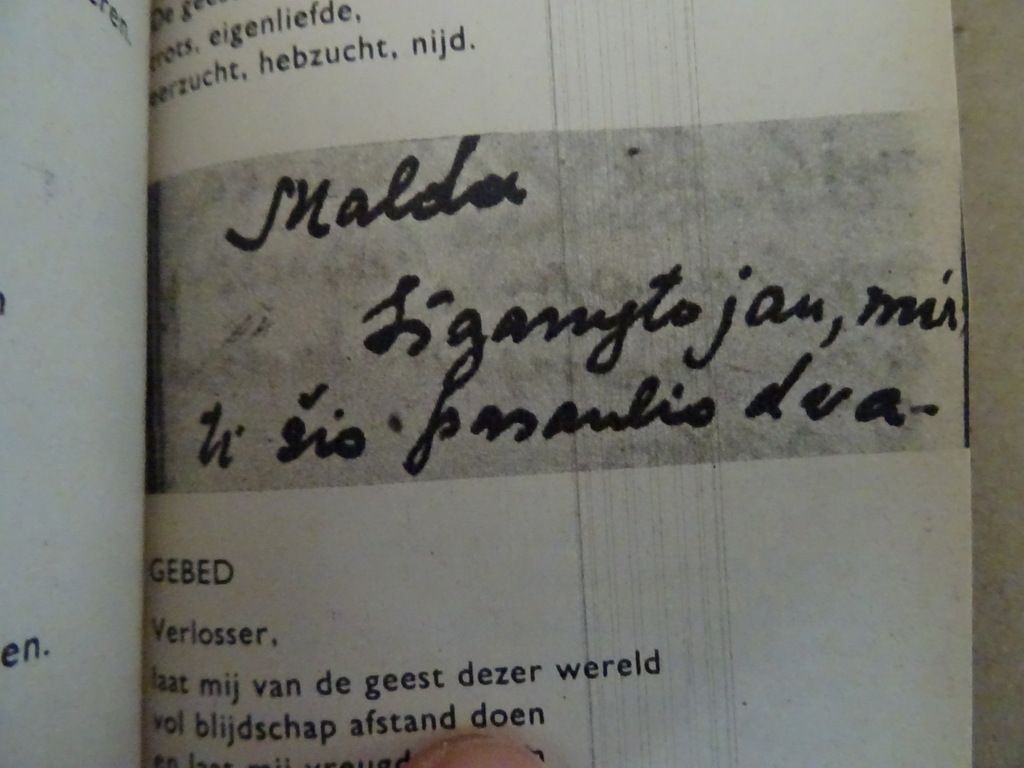 Maria red ons Gebeden van vier Litause meisjes in gevangenschap - Afbeelding 20