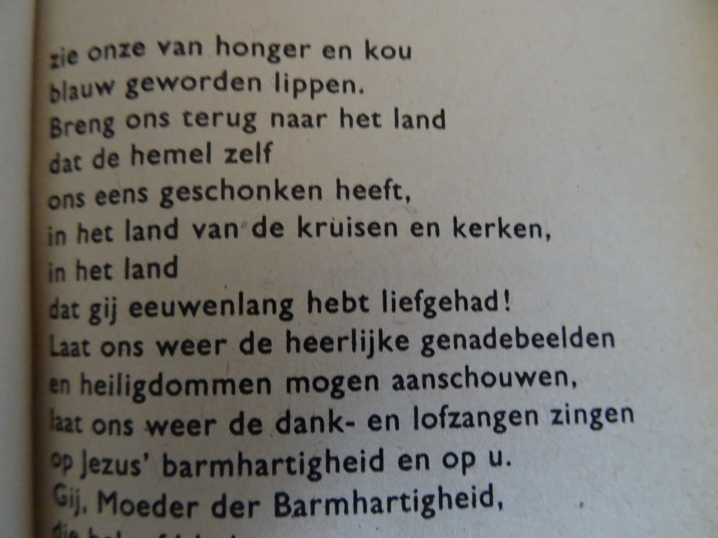 Maria red ons Gebeden van vier Litause meisjes in gevangenschap - Afbeelding 23