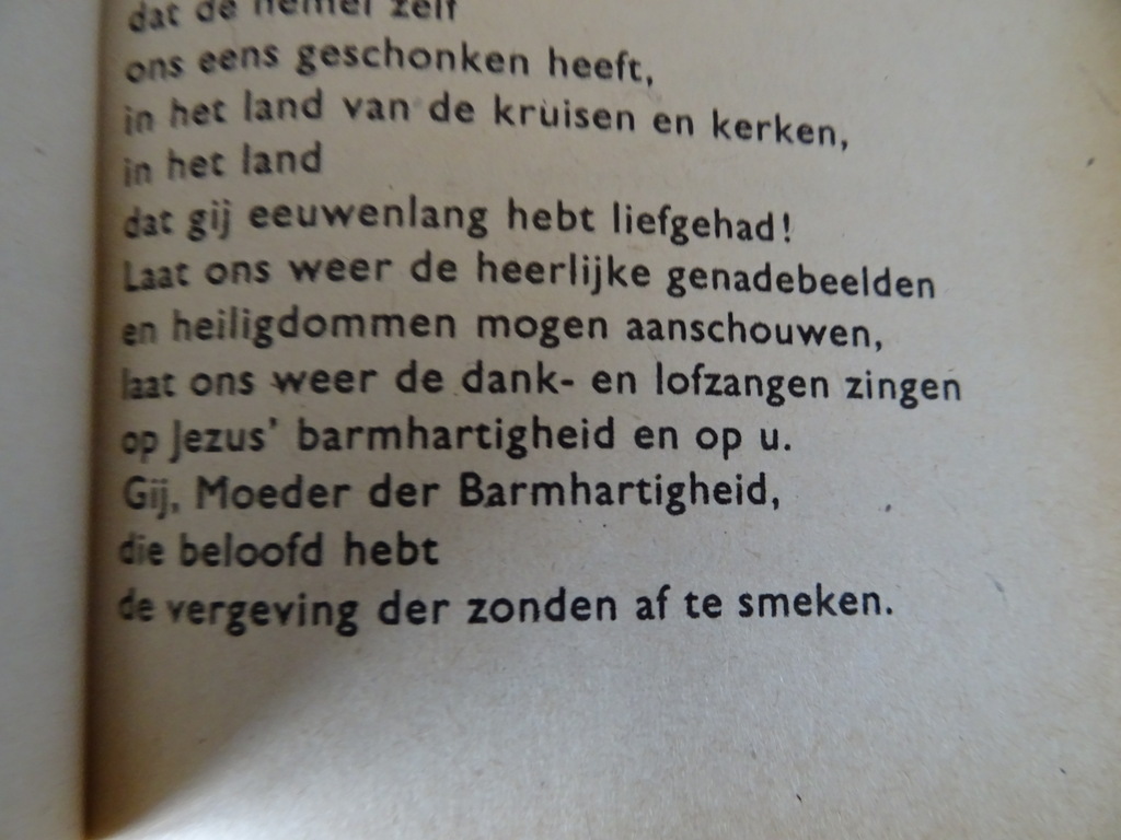 Maria red ons Gebeden van vier Litause meisjes in gevangenschap - Afbeelding 24
