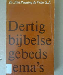 Dr. Piet Penning de Vries S.J. Dertig bijbelse gebedsthema's