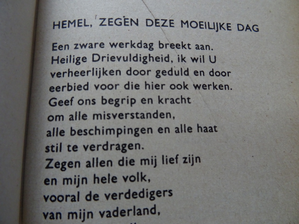 Maria red ons Gebeden van vier Litause meisjes in gevangenschap - Afbeelding 36