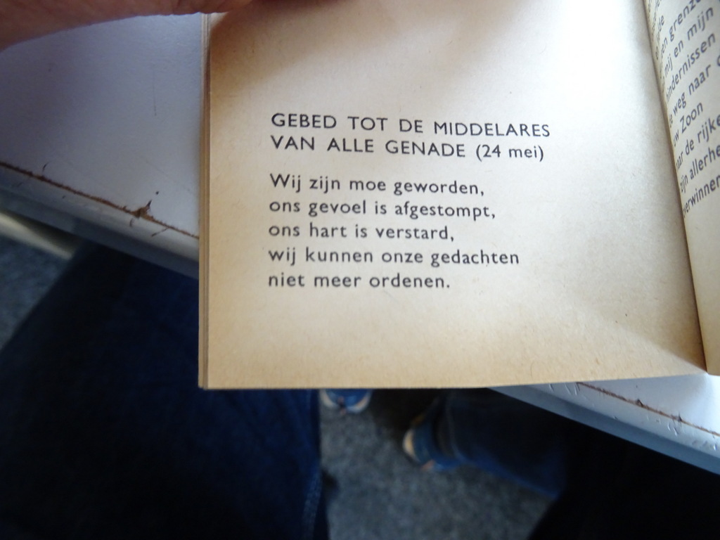 Maria red ons Gebeden van vier Litause meisjes in gevangenschap - Afbeelding 38