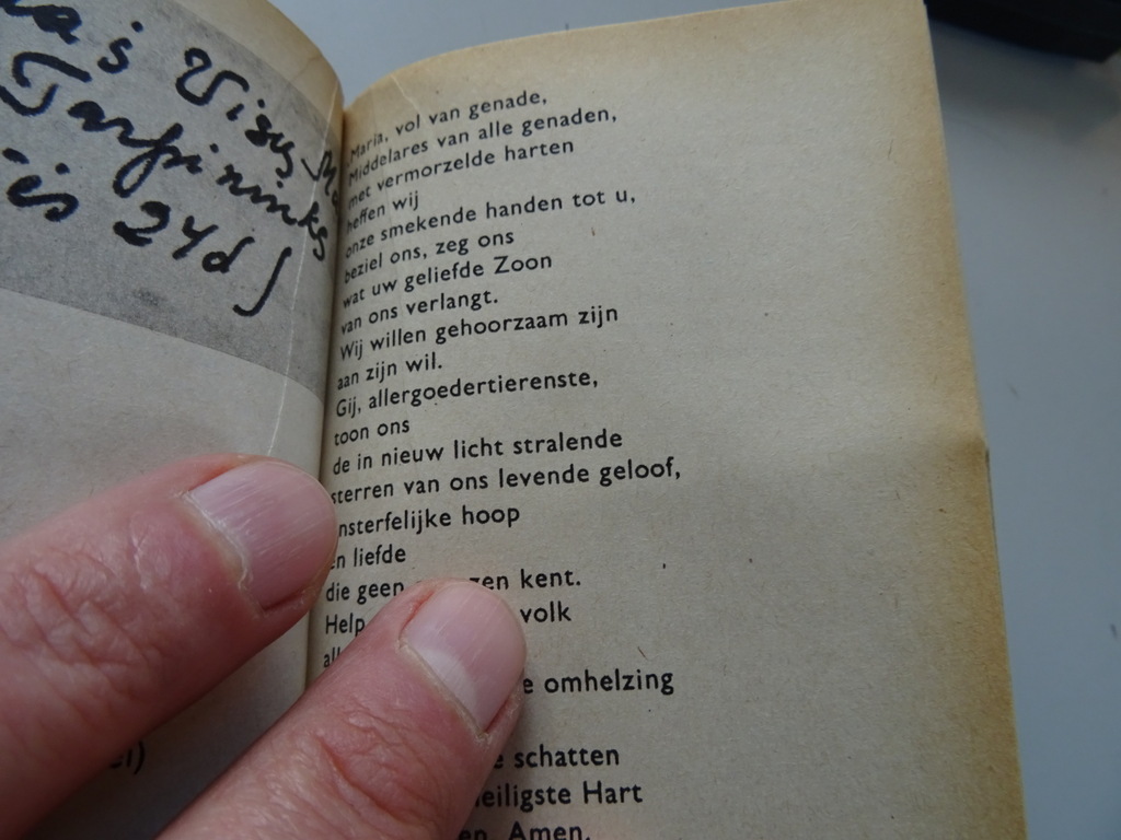 Maria red ons Gebeden van vier Litause meisjes in gevangenschap - Afbeelding 39
