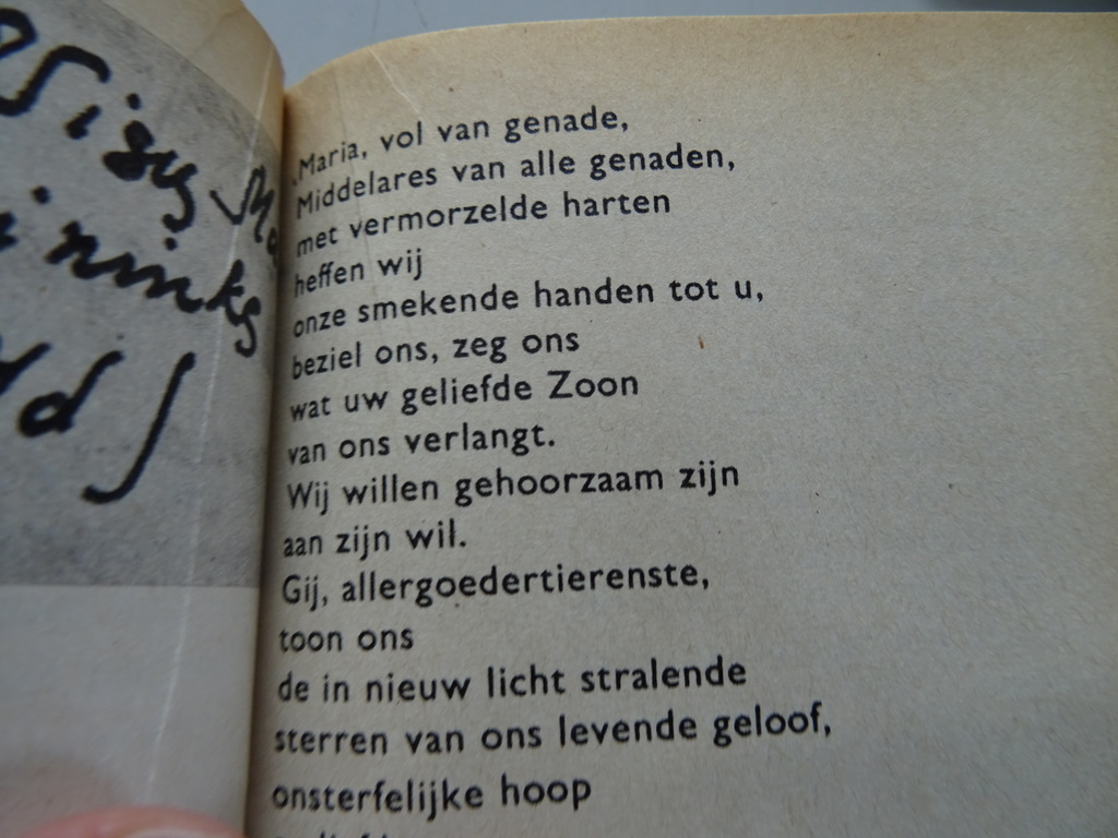 Maria red ons Gebeden van vier Litause meisjes in gevangenschap - Afbeelding 40