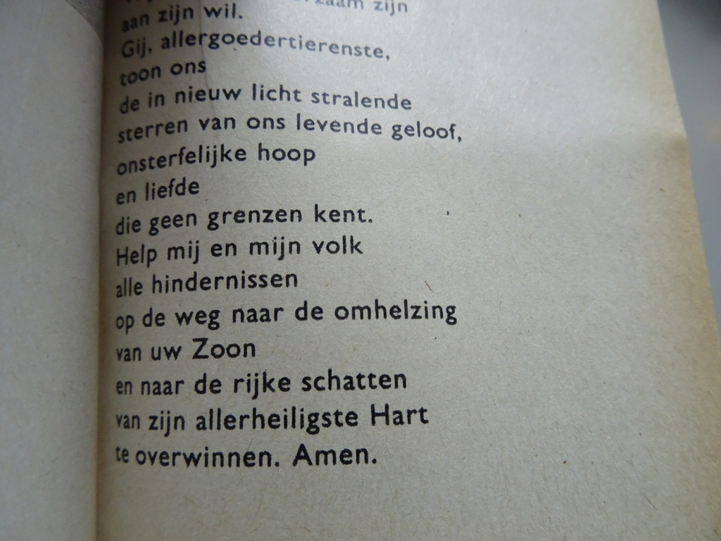 Maria red ons Gebeden van vier Litause meisjes in gevangenschap - Afbeelding 41
