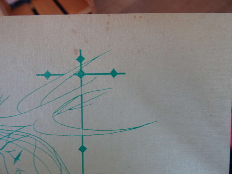 Alternative view of Dr. H. Pauels Een leven voor de Priesters