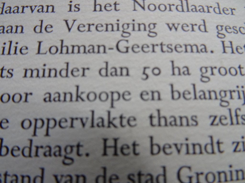 Rinke Tolman Een krans van groen - Afbeelding 34