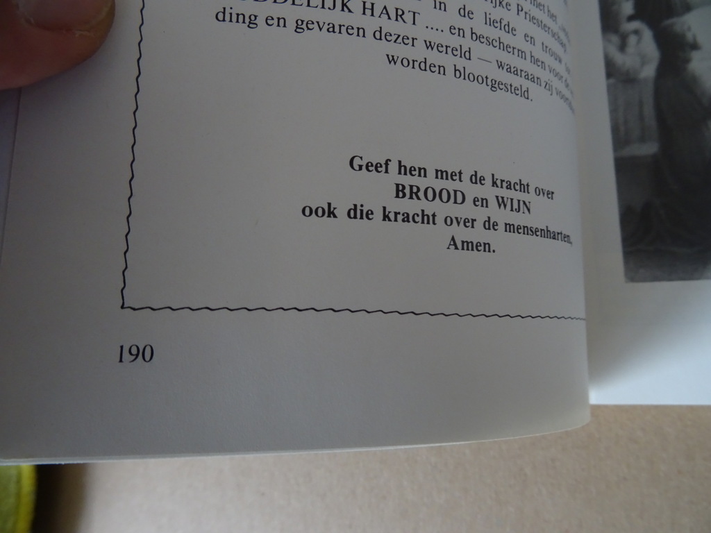 Turris Davidica 2 Boodschappen en gebeden van de Moeder Gods Turris Davidica 2 Boodschappen en gebeden van de Moeder Gods