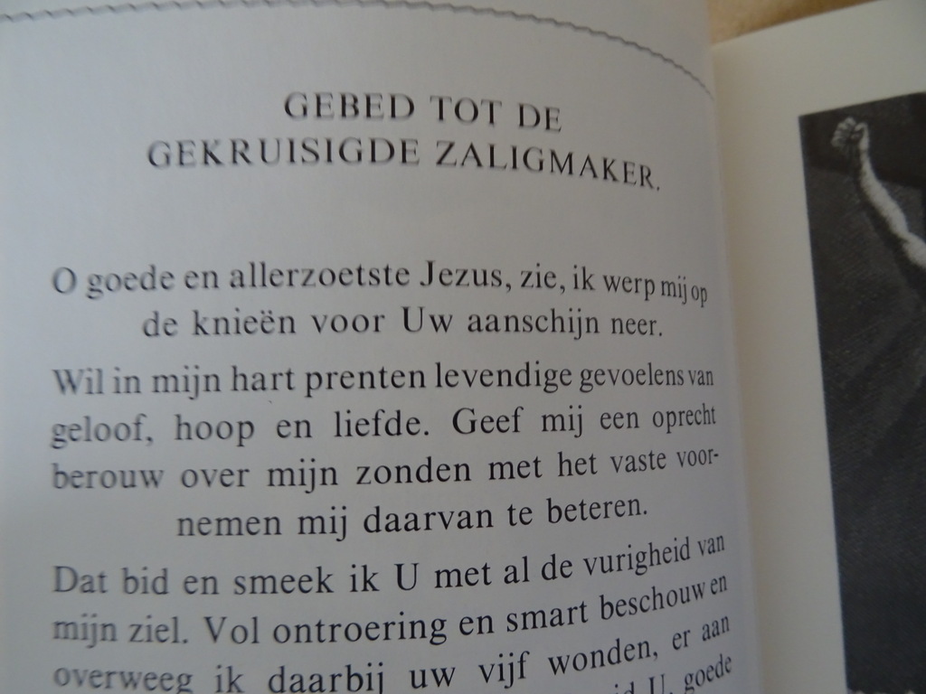 Turris Davidica 2 Boodschappen en gebeden van de Moeder Gods Turris Davidica 2 Boodschappen en gebeden van de Moeder Gods