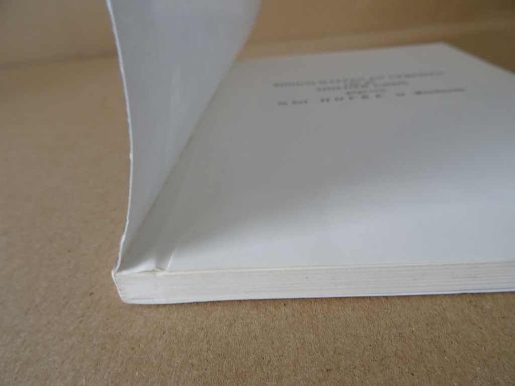 Turris Davidica 2 Boodschappen en gebeden van de Moeder Gods Turris Davidica 2 Boodschappen en gebeden van de Moeder Gods