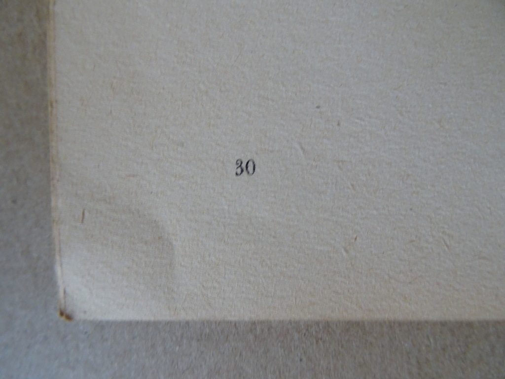 De boodschap van pater Lombardi - Afbeelding 19