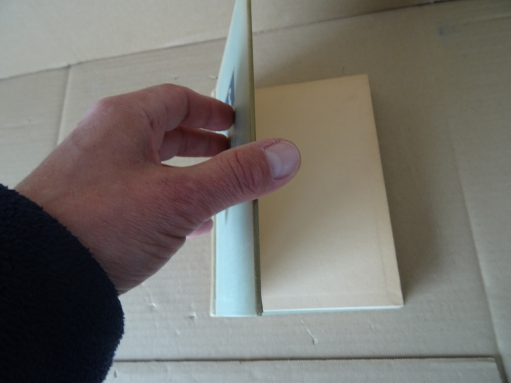 Daphne du Maurier Janet - Afbeelding 2