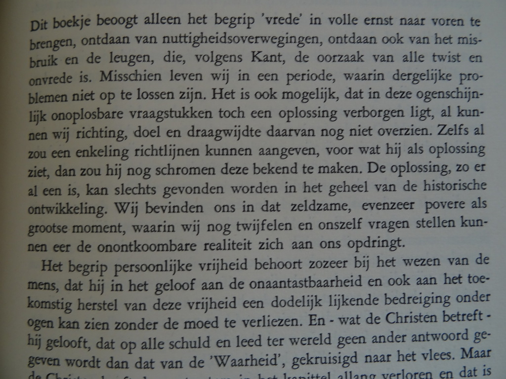 Reinhold Schneider De vrede van de wereld - Afbeelding 16