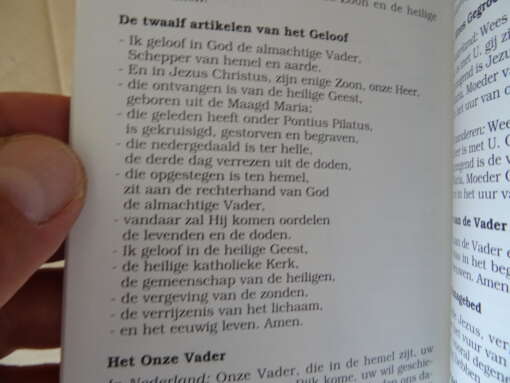 Onder uw bescherming nemen wij onze toevlucht