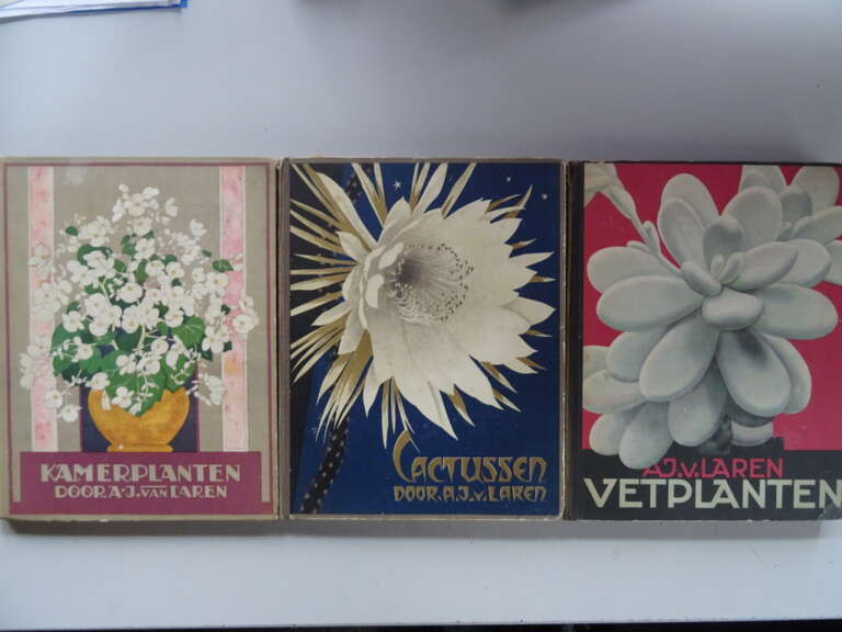 A.J. van Laren Kamerplanten Cactussen Vetplanten