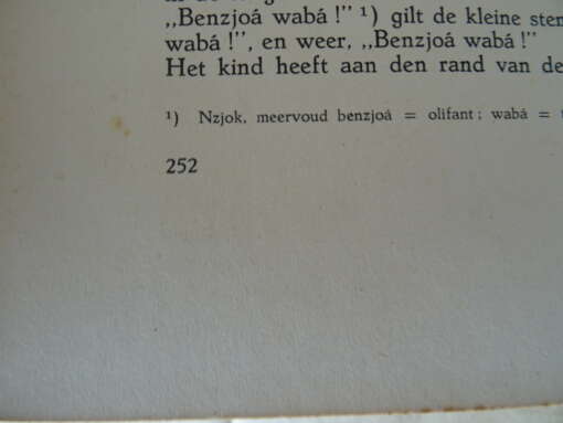 Dr. Paul Julien Kampvuren langs den evenaar