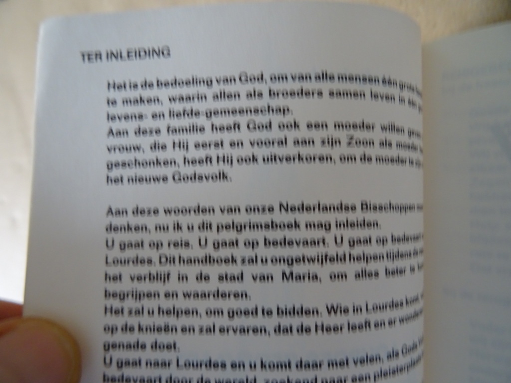 Pelgrimsboek Lourdes Bedevaart - Afbeelding 46