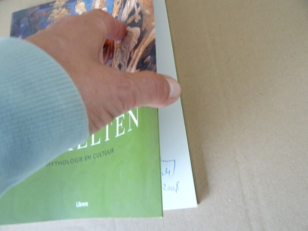 De Kelten Mythologie en Cultuur - Afbeelding 3
