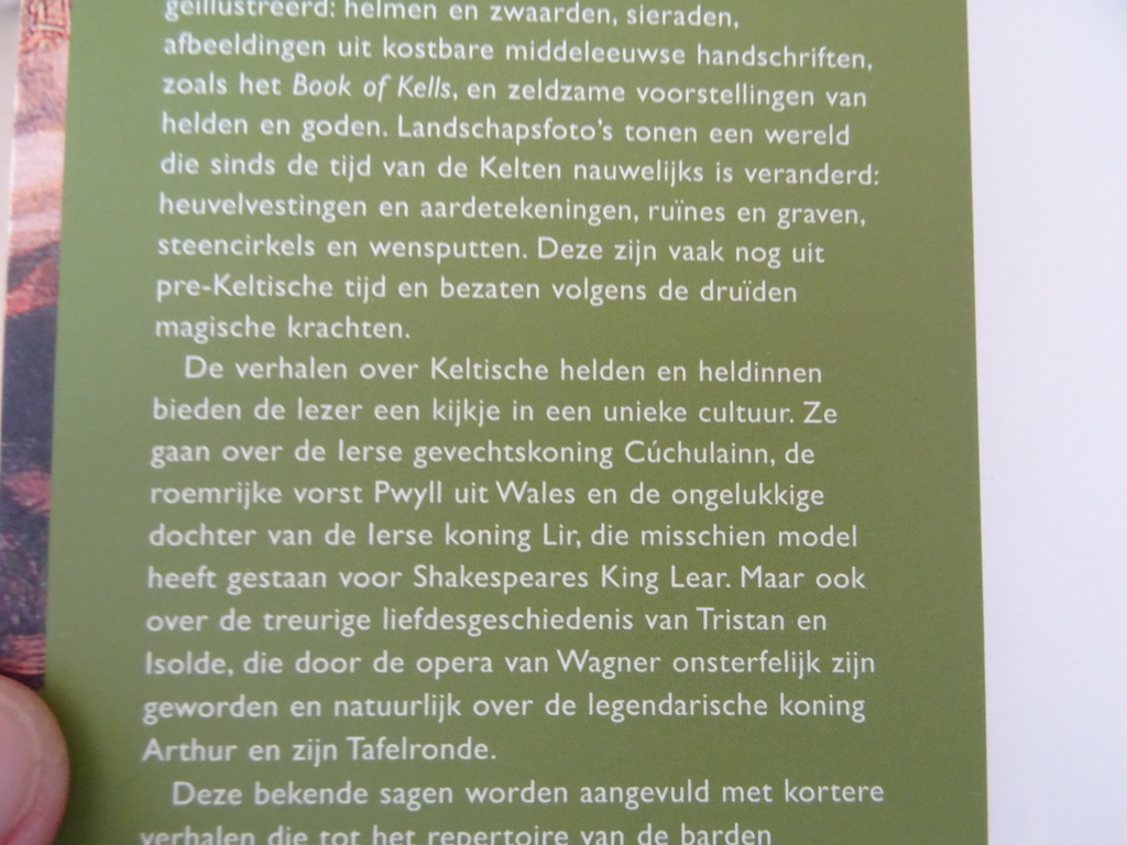 De Kelten Mythologie en Cultuur - Afbeelding 8
