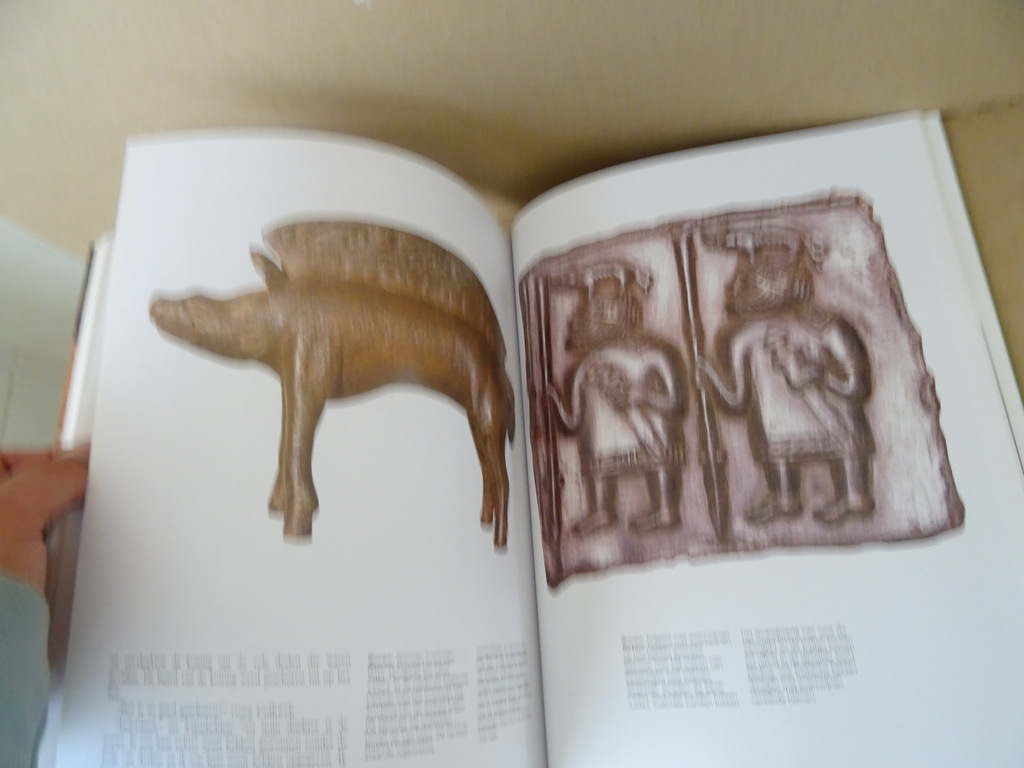 De Kelten Mythologie en Cultuur - Afbeelding 16