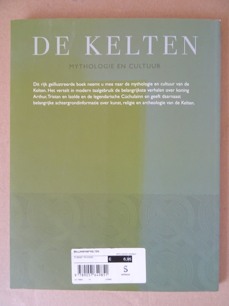 De Kelten Mythologie en Cultuur - Afbeelding 22